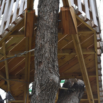 The Most Incredible Kids' Tree House You'll Ever See?