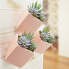 Arcadia Garden Products Large Cube Wall Planter, Coral