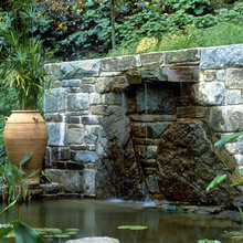 Pond