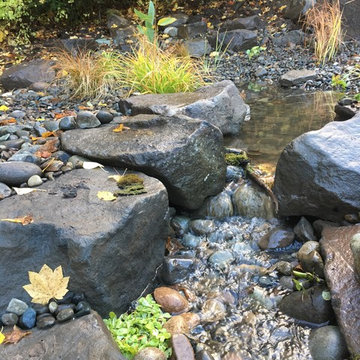 Van's Mountain Pond Wetland Filter Headwater