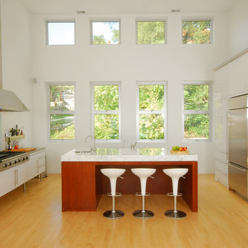 House for art collectors
