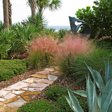 Landscape Ideas