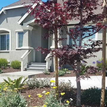 ADA Access in Watsonville