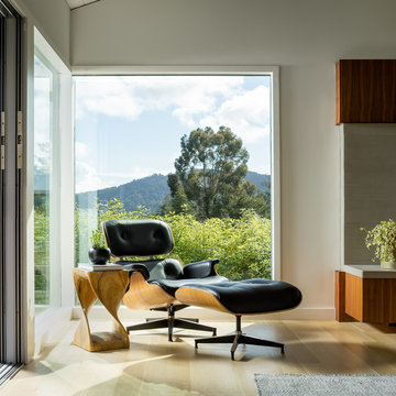 midcentury in greenbrae, marin county