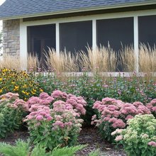 Yard/Raingarden