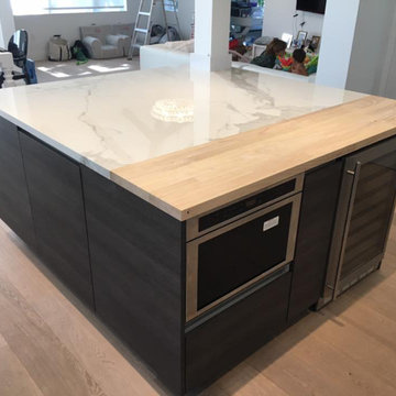 Contemporary Flat Panel Kitchen