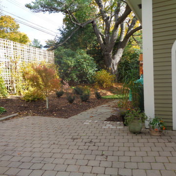 Wood Decks, Fences, Patios and More