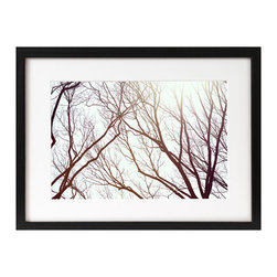 James Houston Design - Nature Series (print only) - Fine Art Prints