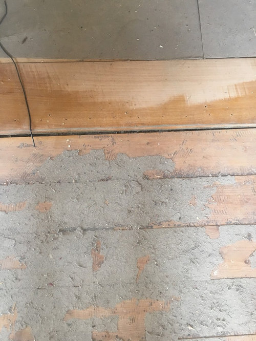 Reno revealed original wood floors. Help?