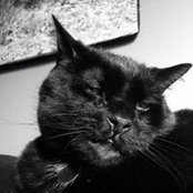 Nicholas Snow's photo