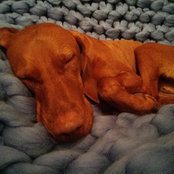 Sara Spence's photo