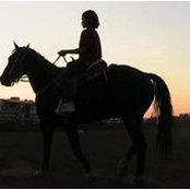 Lindsey Ogden's photo