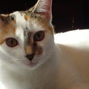Darlene Laughman's photo