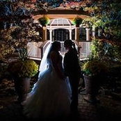 Trish Lemmerman's photo