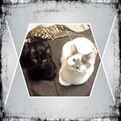 Karrie Sancan's photo