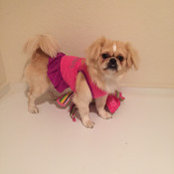 Lillian Sastre's photo