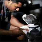 Srinivas Sampath's photo