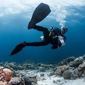 Jacob Mortensen's photo