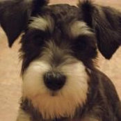 David Harvey's photo