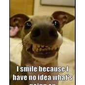 Cindy Hruza's photo