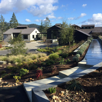 St. Helena Mountain Farmhouse
