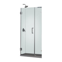 Shower door