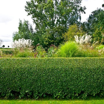 Hedges