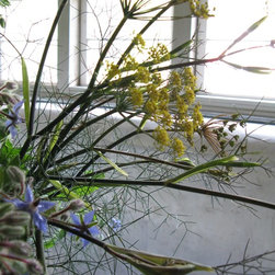 Flora Verdura - Products