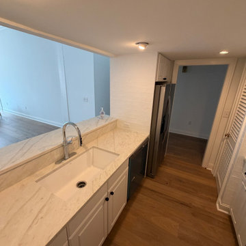 Printers Row Renovation