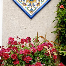 Patio Ideas