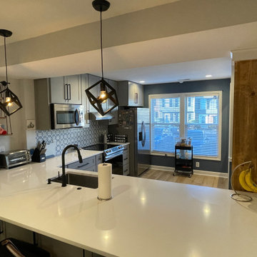 Full Town House Remodel in Reston, VA