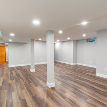Doylestown Basement