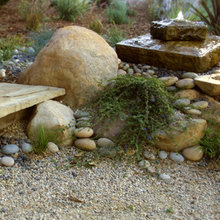 Landscape Ideas