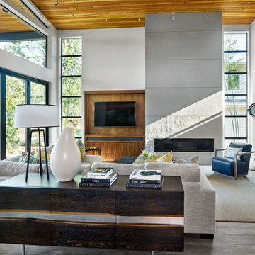 Contemporary Living Room