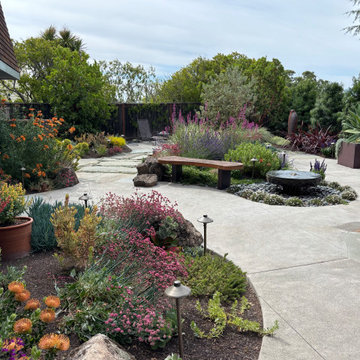 Backyard bird and butterfly heaven