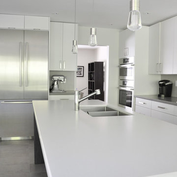 Monochromatic Shades - Kitchen Renovation