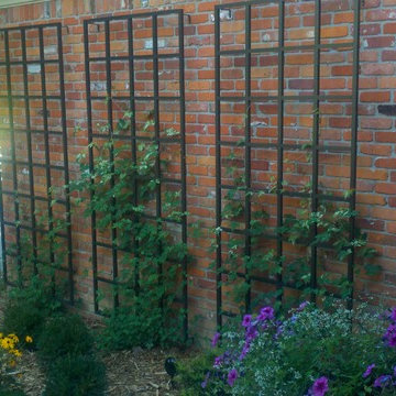 Wall Trellises