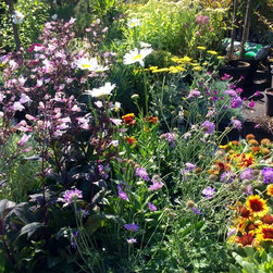 Gardening & Landscaping - Products