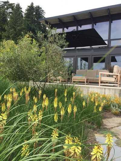 Modern Landscape by Botanica Design