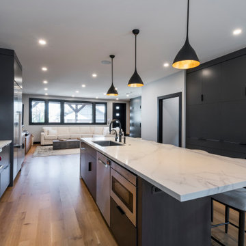 Modern Luxury in Tremont-Whole Home Renovation