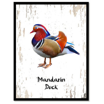 Mandarin Duck Bird Canvas Print, 7"x9"
