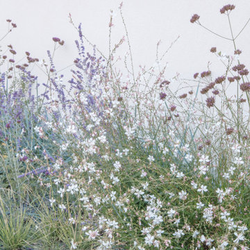 Jardin sec