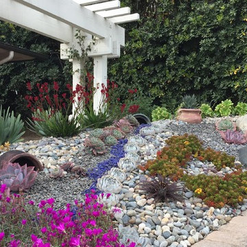 Succulent garden