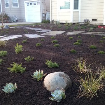 Seaside Santa Cruz - Lawn Removal