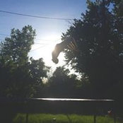 Chad Powell's photo