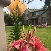 Lisa Van Camp Bihn's photo
