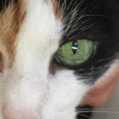 Brett Wheeler's photo