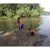 Julia Parrish's photo
