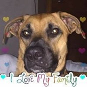 Monica Chiccino Reeser's photo