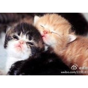 Hao Jiang's photo